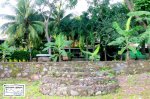 Hacienda Merida Ometepe