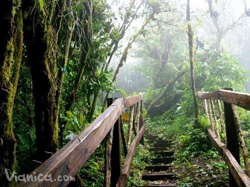 Mombacho Volcano - Puma Trail | Tours | Nicaragua | ViaNica.com